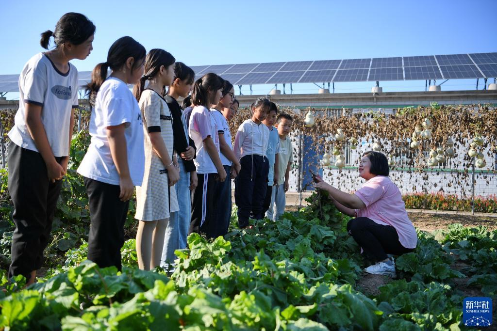 博狗游戏注